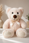 Plush Teddy Bear Keepsake